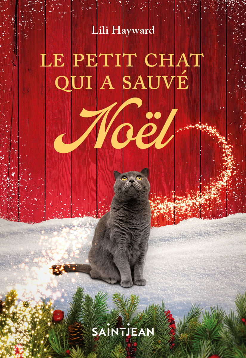 C1_Chatnoel_HR