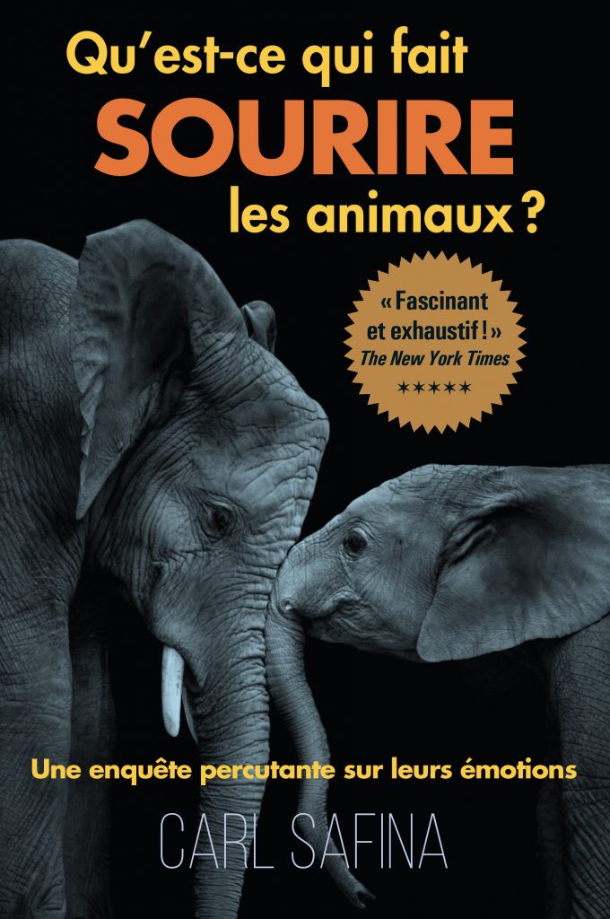 c1_quest-ce-qui-fait-sourire-les-animaux_hr_final_eb